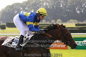 Details Kategorie: Avenches 10.09.2014